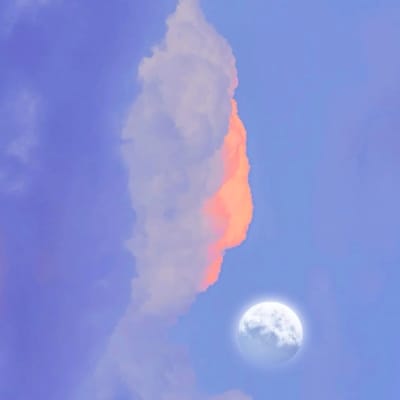 คริส พีรวัส avatar